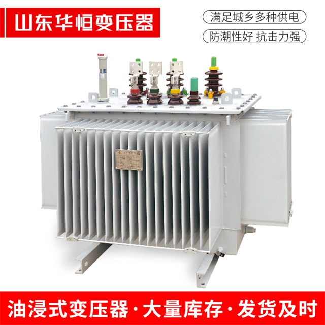 S13-10000/35瑞安瑞安瑞安电力变压器